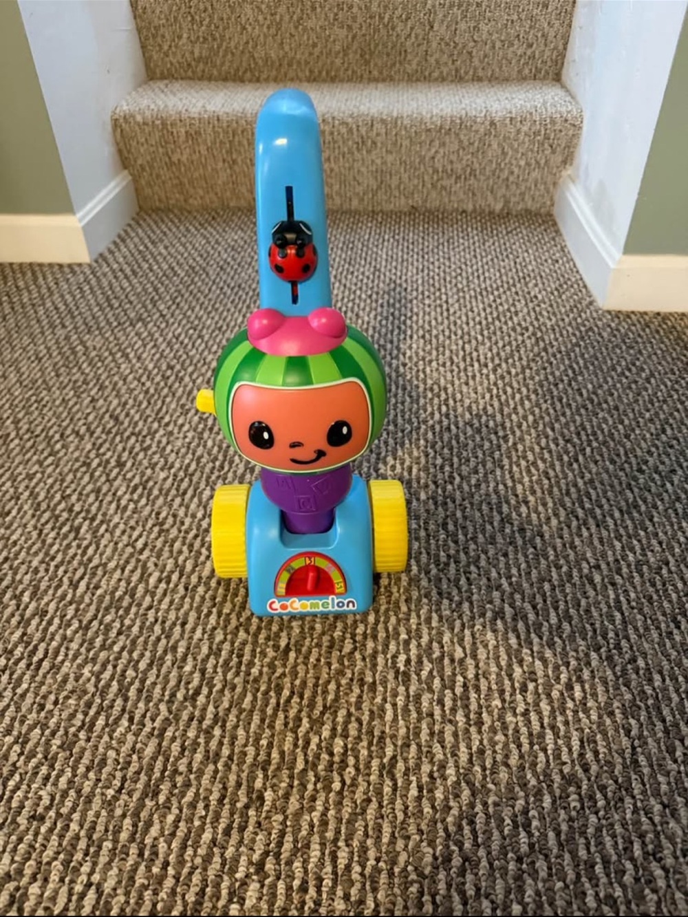 Blue & Green Push Toy Walker